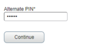 pin screenshot of pin