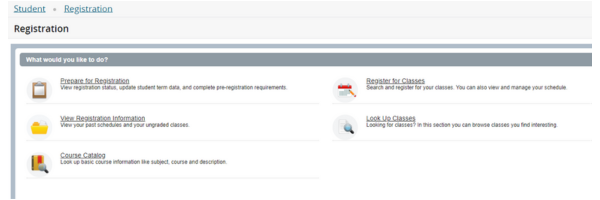 screenshot of registration menu